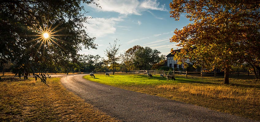 The Road That Leads Home: Fundations® Teacher Dedicates Second Career to Literacy