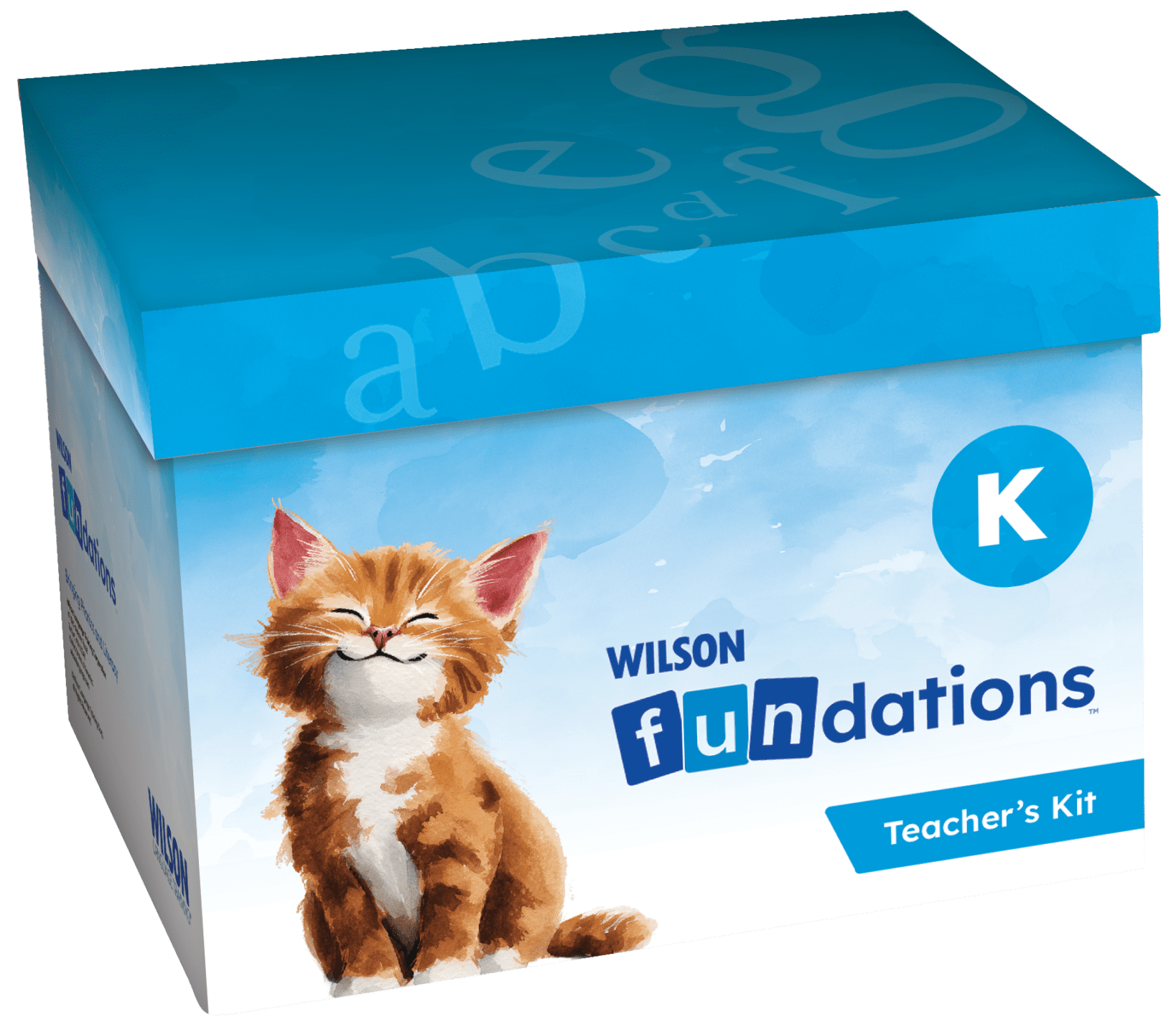 Blue Wilson Fundations Teacher’s Kit box labeled Level 3, featuring an illustration of a kitten on the front.
